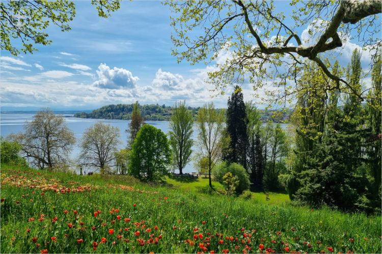 Insel Mainau - Daniela Joss