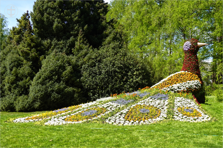 Insel Mainau - Daniela Joss