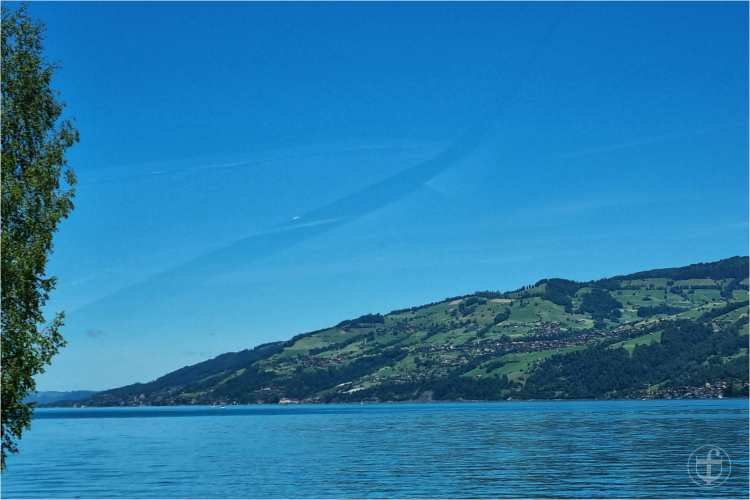 Ufer des Thunersees.