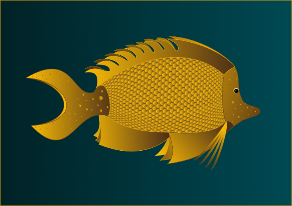 Affinity - Pfadlehrgang - Goldfisch -  Daniela Joss