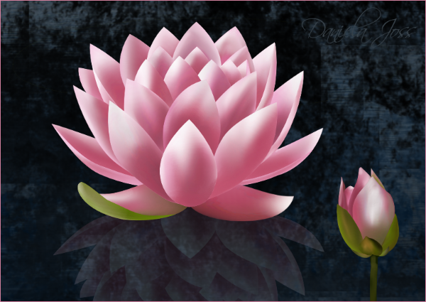 Affinity - Pfadlehrgang - Seerose -  Daniela Joss