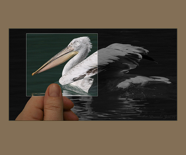 Tutorial Bild aus mehreren Teilen -  Ulead PhotoImpact - Daniela Joss