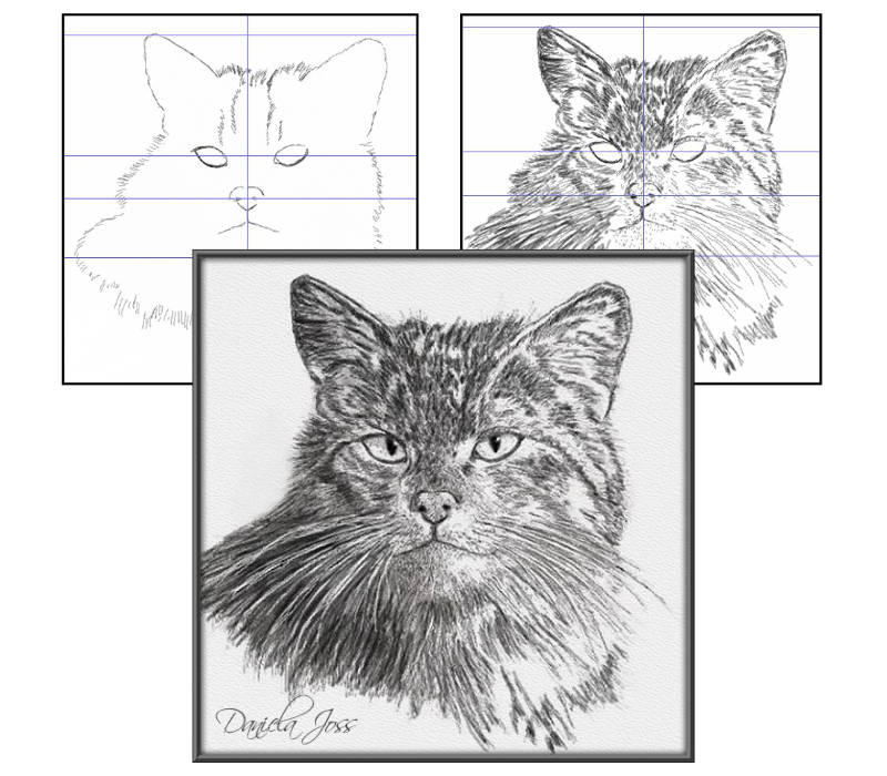 Hauskatze - Tutorial Ulead PhotoImpact - Daniela Joss