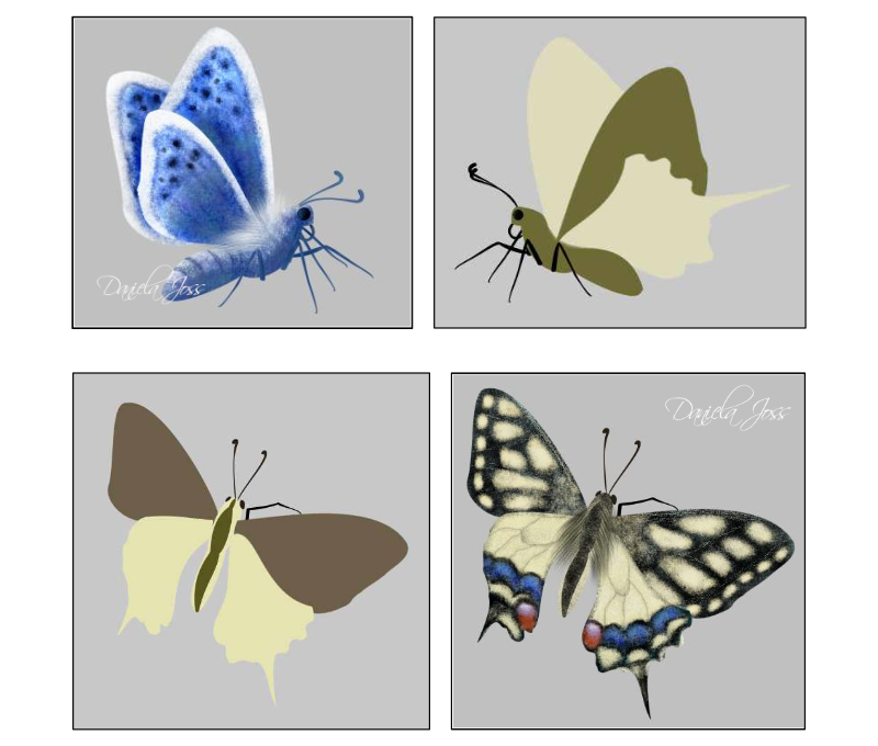 Schmetterling - Tutorial PhotoImpact - Daniela Joss