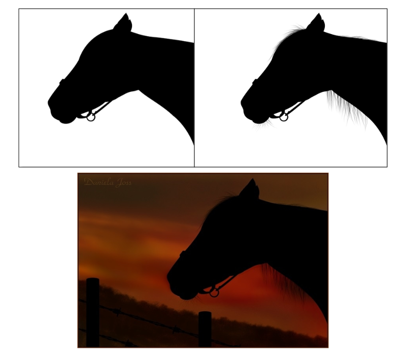 Silhouette/Schattenriss - Tutorial PhotoImpact - Daniela Joss